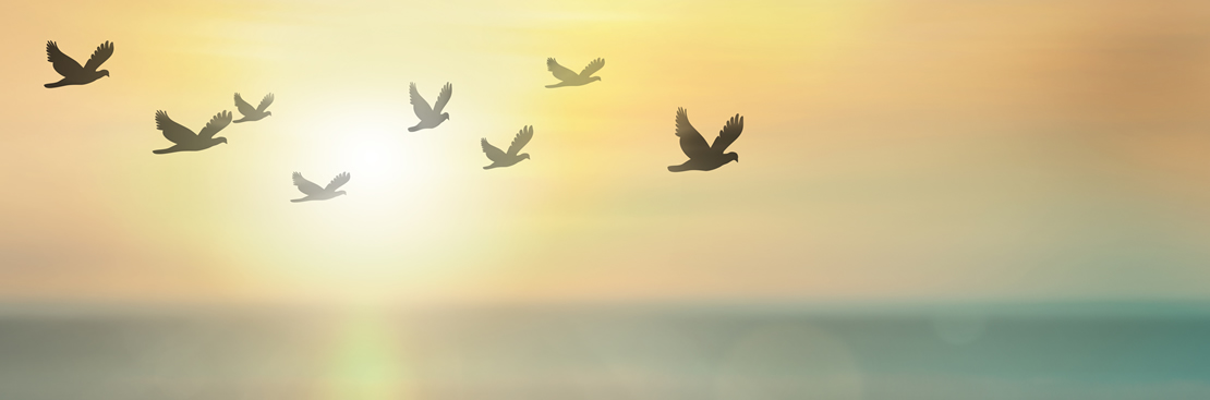 Family Therapy | Margot Weinshel | Psychotherapist