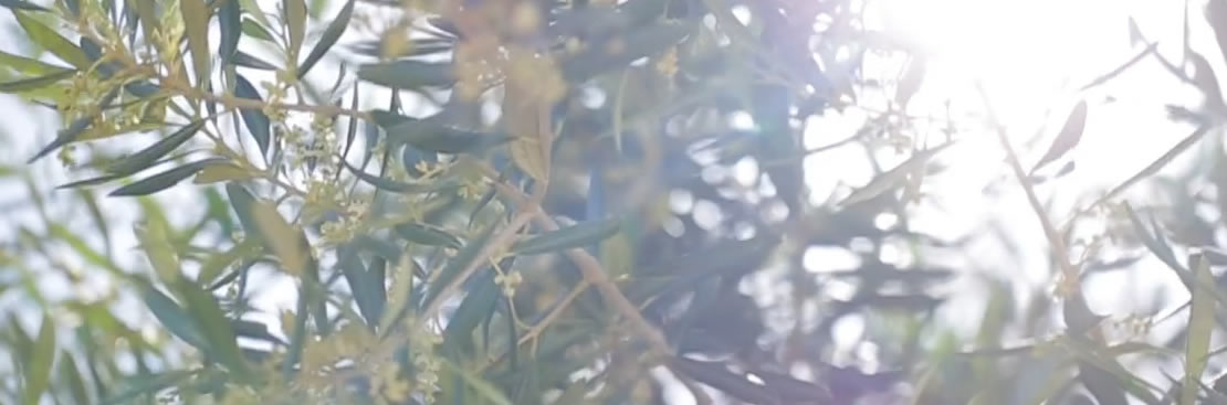 Margot Weinshel, Psychotherapist