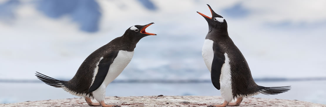 Margot Weinshel, Psychotherapist